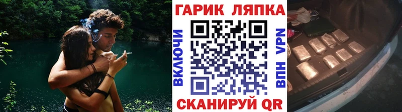 закладки  Гусь-Хрустальный  ГАШ Ice-O-Lator 